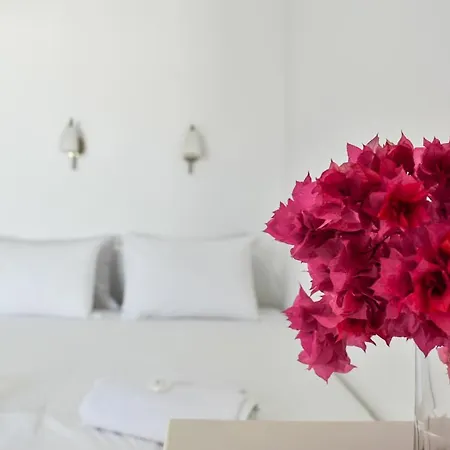 Village Twins 1 Guest house Chora (Ios)