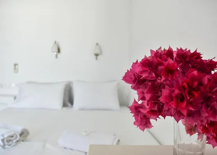 Village Twins 1 Gæstehus Chora