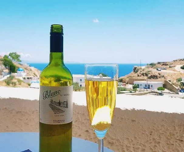 Gæstehus Village Twins 1 Chora